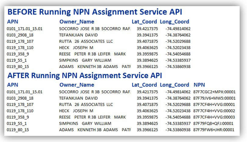Table of before and after running NPN Assignment Service API